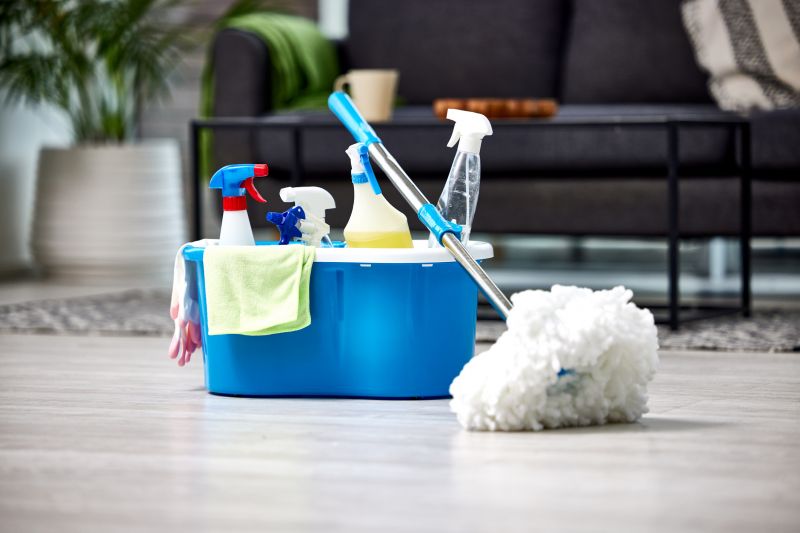 Basement Cleaning Service in Redmond, WA