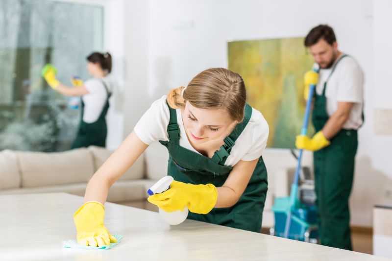 Basement Vacuuming in Renton, WA