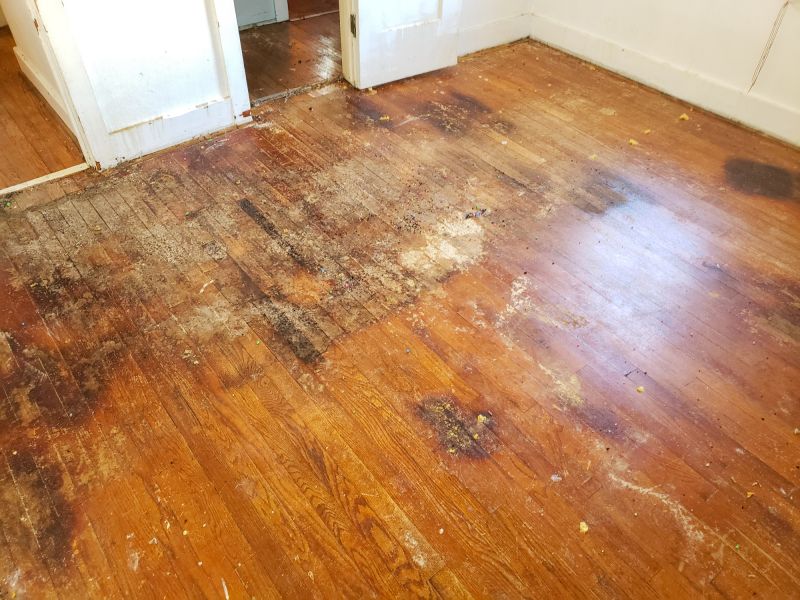 Floor Repair and Restoration