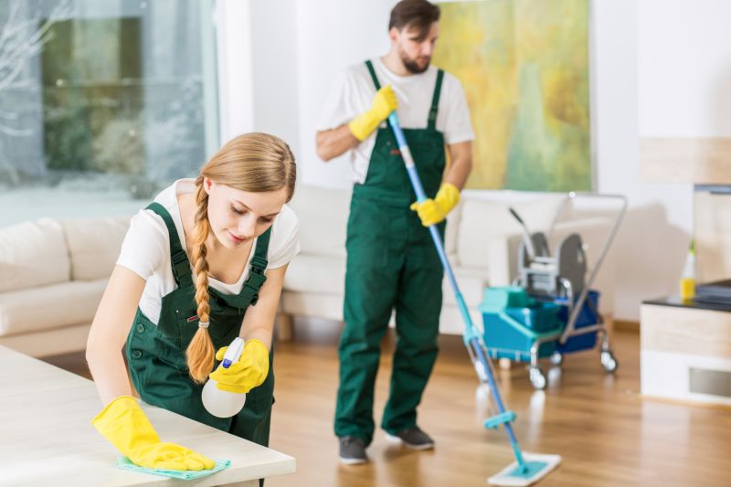 Kitchen Cleaning in Kent, WA